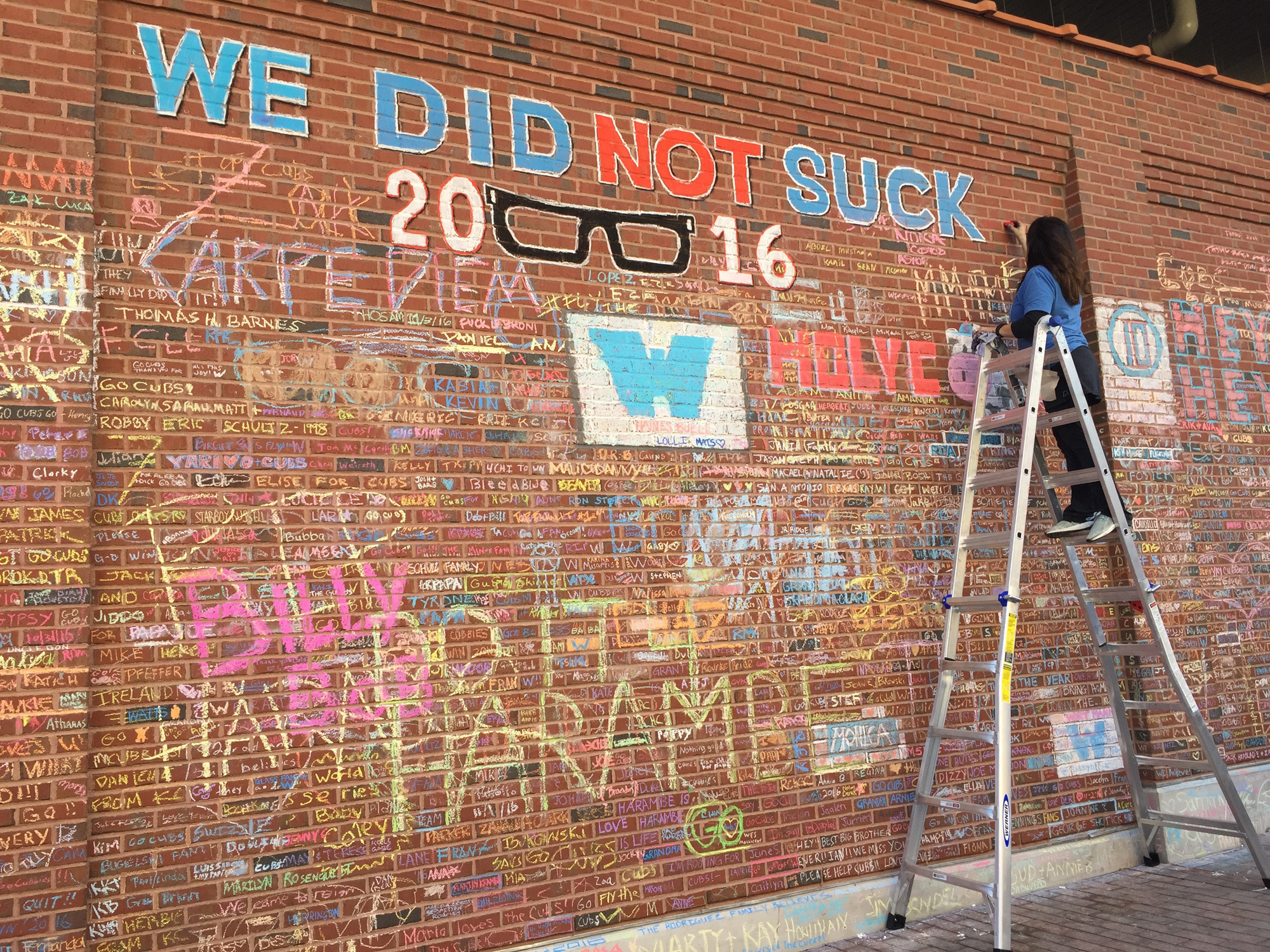 Nancy on ladder creating chalk art on the brick wall of Wrigley Field